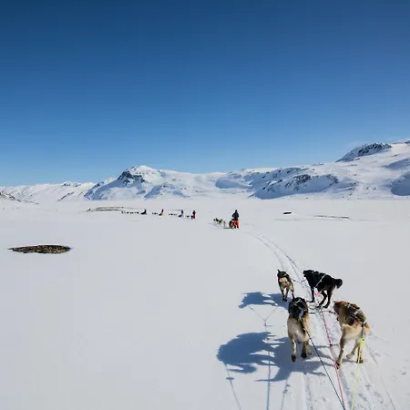 Ved Skistadion- 4 Soverom Og Smorebod *