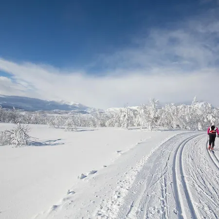 펜션 Ved Skistadion- 4 Soverom Og Smorebod *